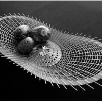 ELLIPSO PLATTER